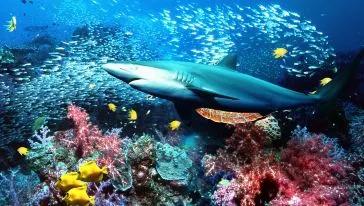 洛阳游乐园动物园水上乐园三合一,海洋动物园海底世界门票