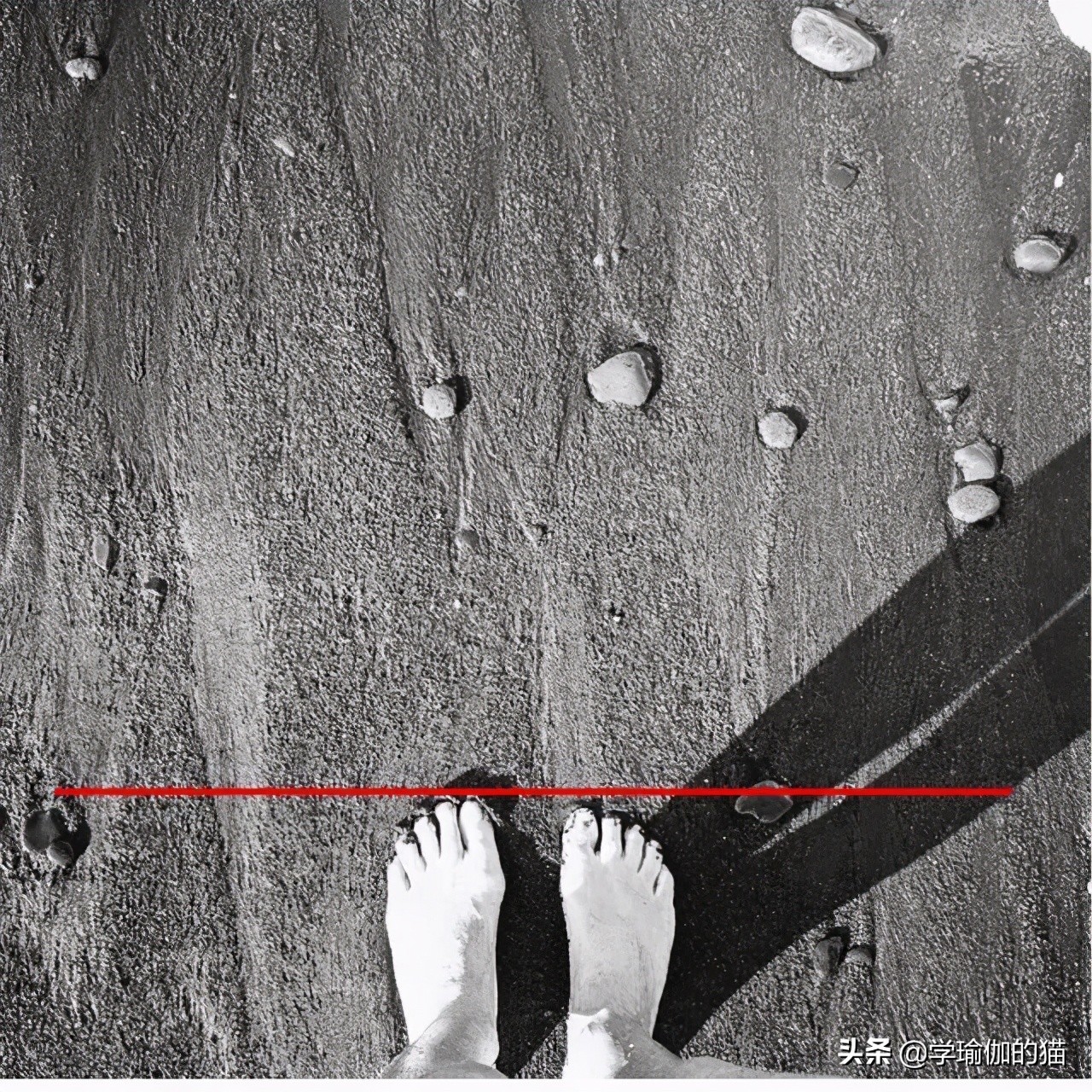 瑜伽竖叉胯不正怎么办,为什么练瑜伽会变成骨盆后倾