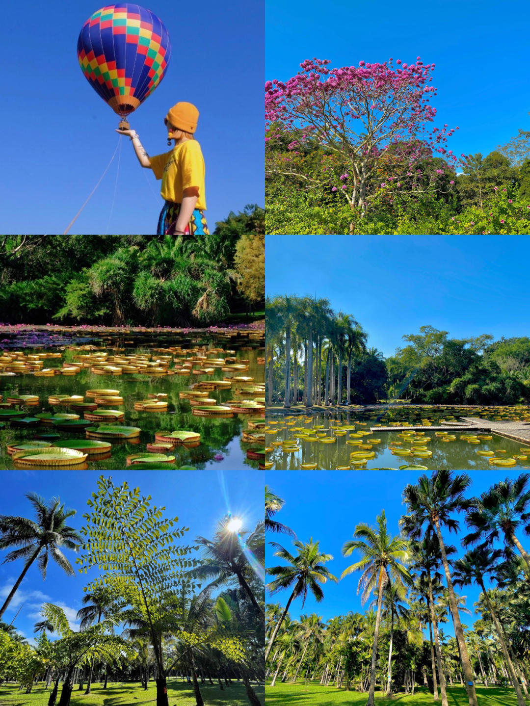 去云南旅游攻略自驾游最佳线路,旅游攻略自驾游云南最佳路线推荐