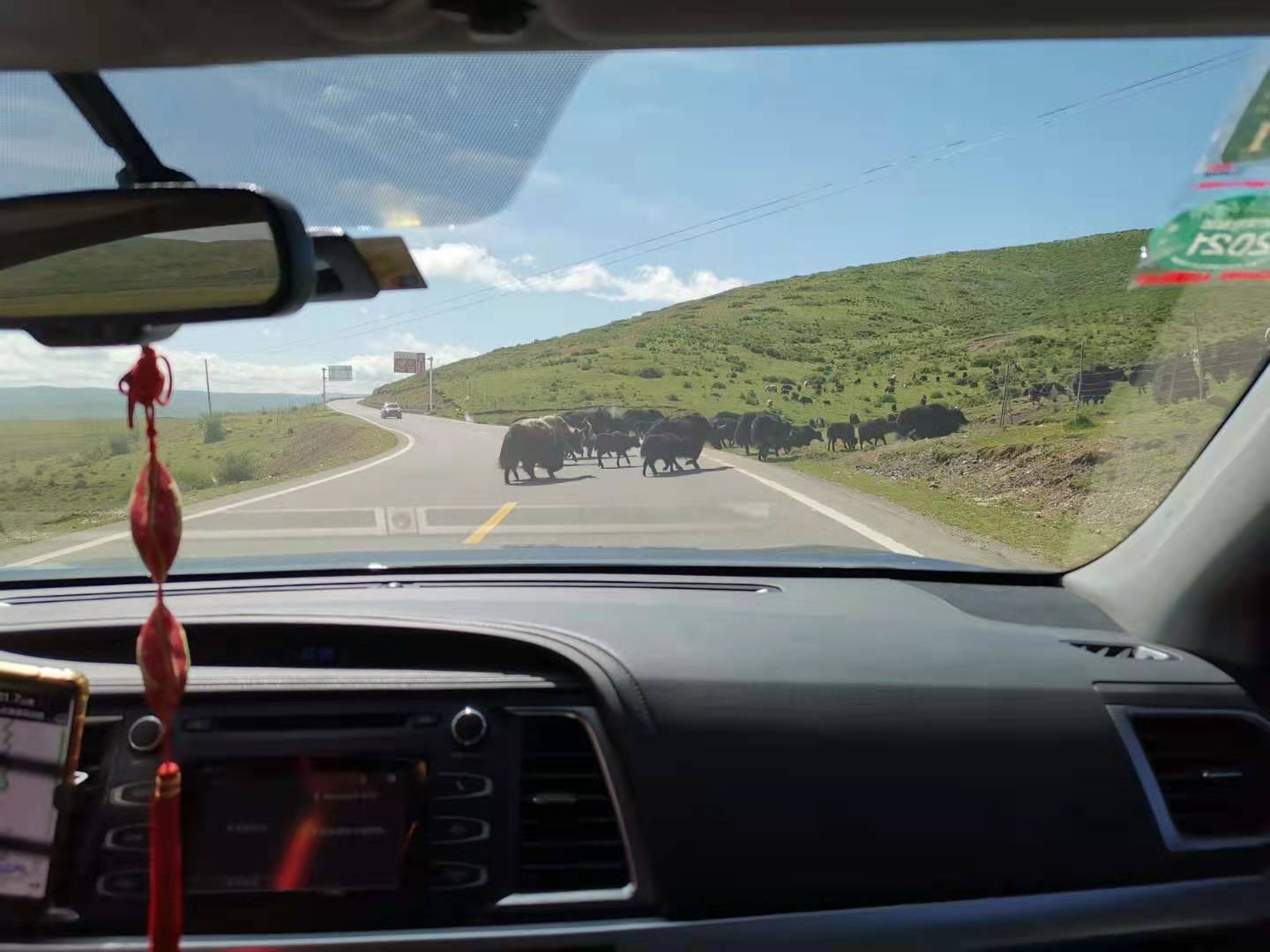 自驾游六——四川黄龙景区随笔