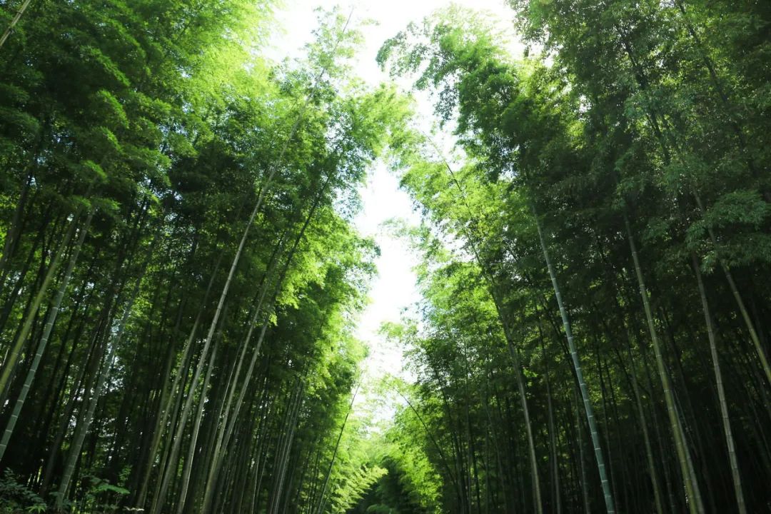 好消息,全国500+景区免费开放,这周末就去玩!