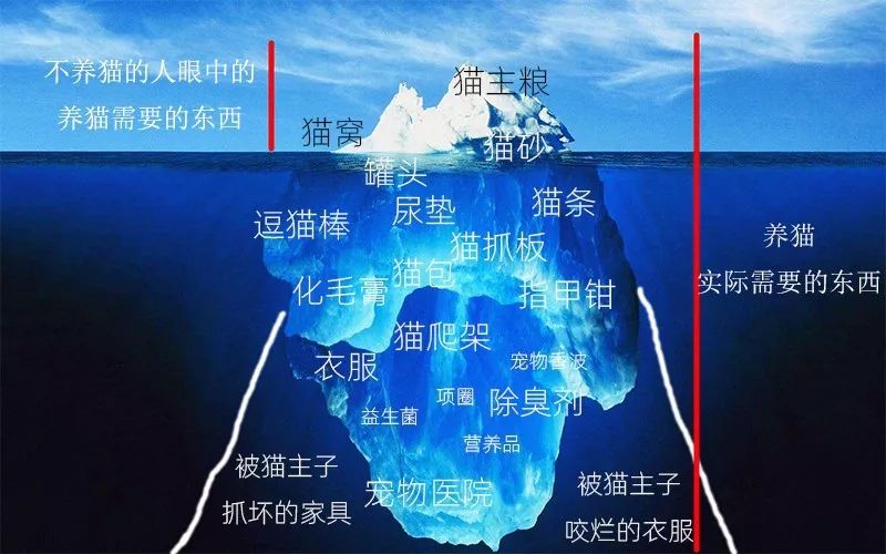 看了猫要吃的零食，你就知道为啥猫咪比娃还难带