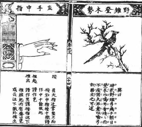 龚一古琴入门指法第1讲,古琴入门指法表