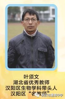 武汉市建港中学图,武汉市建港中学官网