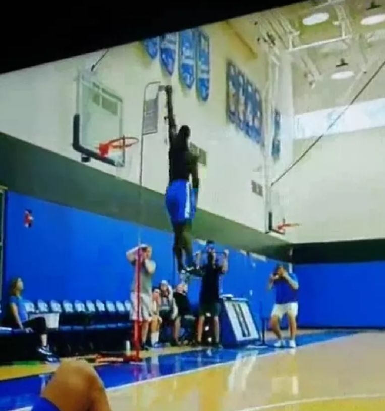 字母哥和锡安威廉姆斯什么关系,nba2konline2锡安威廉姆斯和字母哥