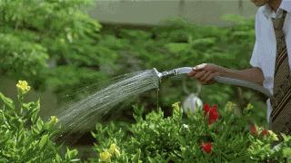 王晶真实剧集,王晶投机取巧拍电影