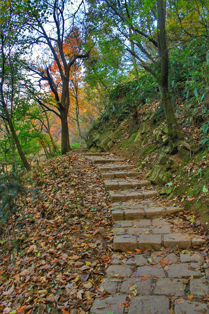 湖州周日游玩攻略推荐,湖州出游推荐