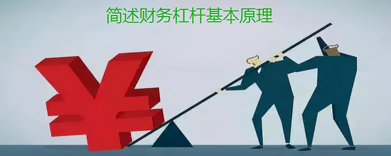 财务杠杆原理及其应用研究案例,财务杠杆作用的公式