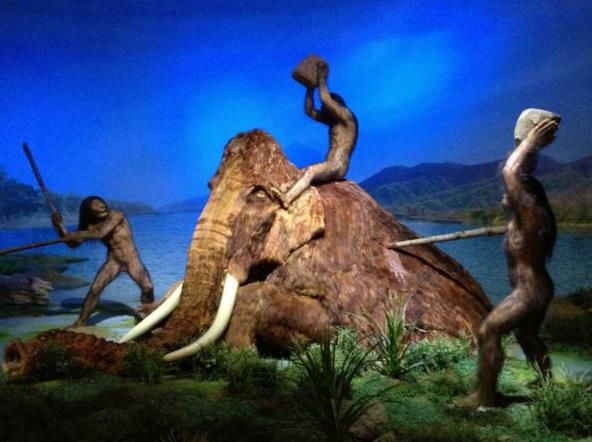人类原始祖先的生活方式,远古时代我们的祖先怎么生活