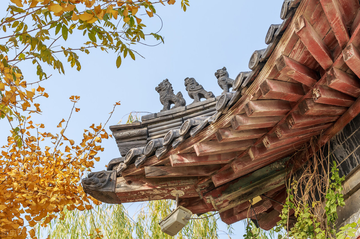 遇到熊装死能活多久,遇见熊装死的危害