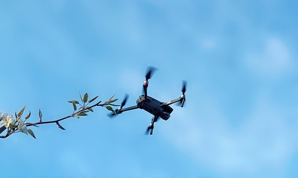 春游江淮请你来滁州版,春游江淮等您来