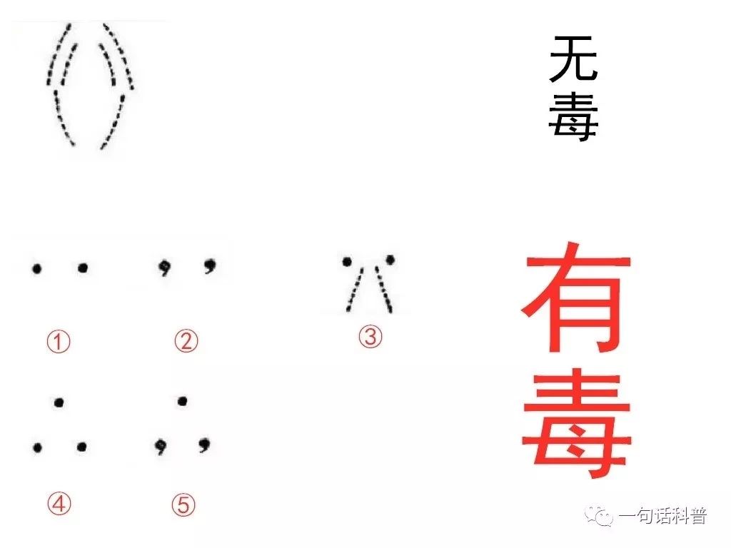 夏季高温警惕蛇出没,天气热蛇被蛇咬