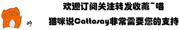 猫智力相当于几岁,猫智力排行