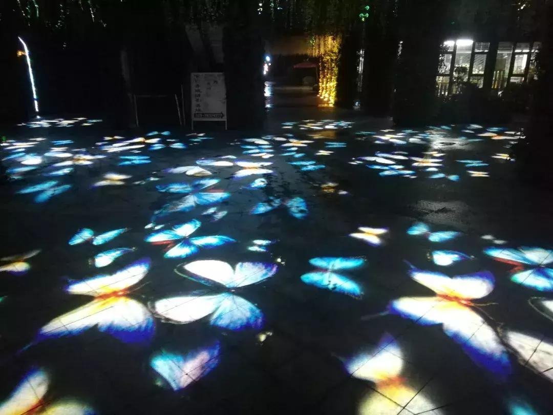 玩转秋梦,尽兴奇幻丨花径探奇乐园首次亮相,奇趣酷玩迎国庆