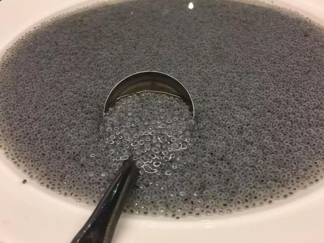 泰国皮皮岛一日游 (泰国皮皮岛旅游团)