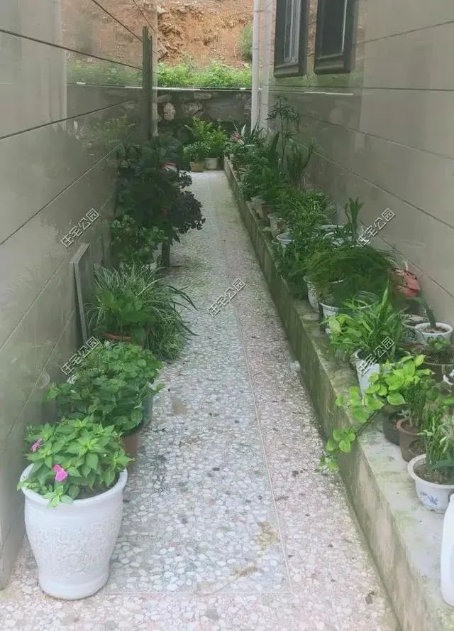 湖南陈先生30万自建农村小平房，有假山有菜园，占地1亩就是爽