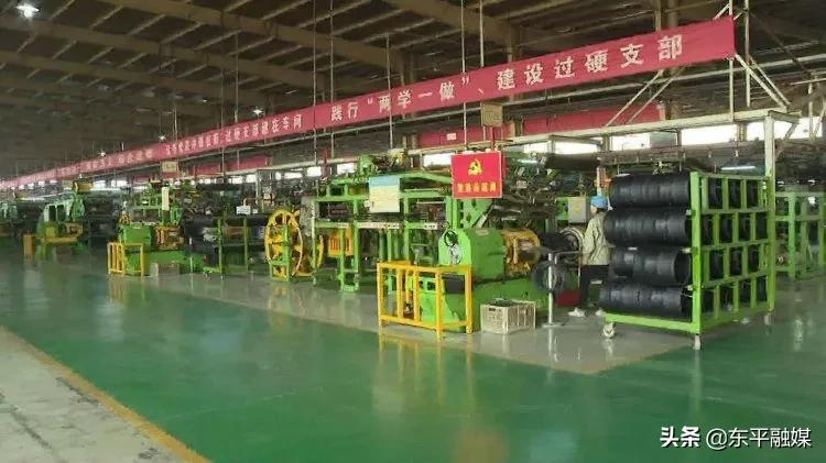 东岳集团2019年新项目,东岳集团奖励