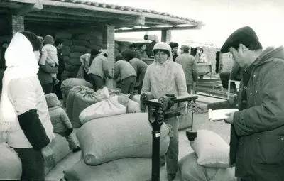 80年代场景农村交公粮,回忆从前农村交公粮