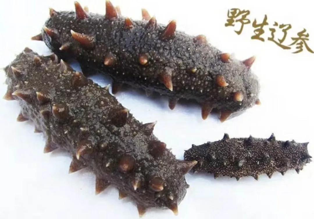 海参怎么吃既营养又最好吃,海参怎么吃才好吃又有营养价值