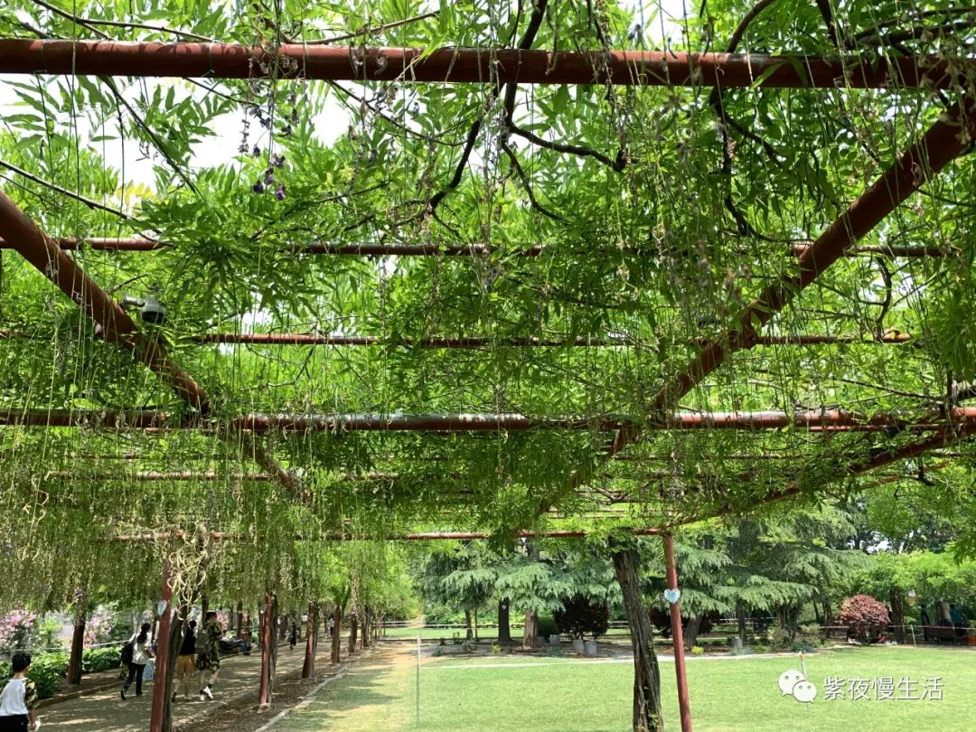 慢生活惬意悠闲,悠闲惬意上海