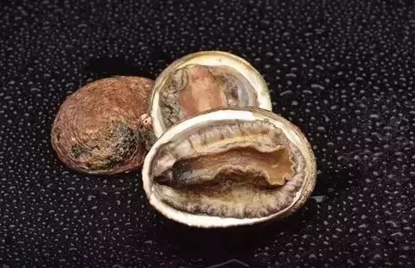 世界顶级鲍鱼菜图片,世界鲍鱼体型十大排行榜