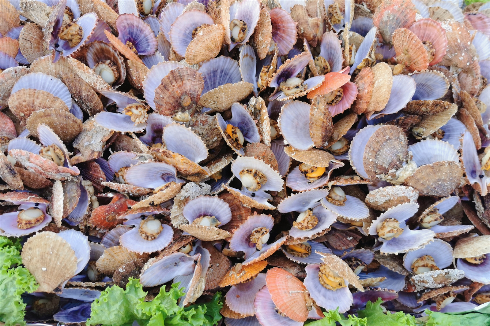 山东长岛旅游攻略四天三晚多少钱,山东长岛两天一夜旅游攻略