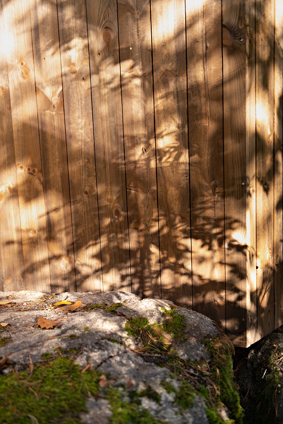 山顶的小木屋安放心灵的好去处,隐居森林的小屋