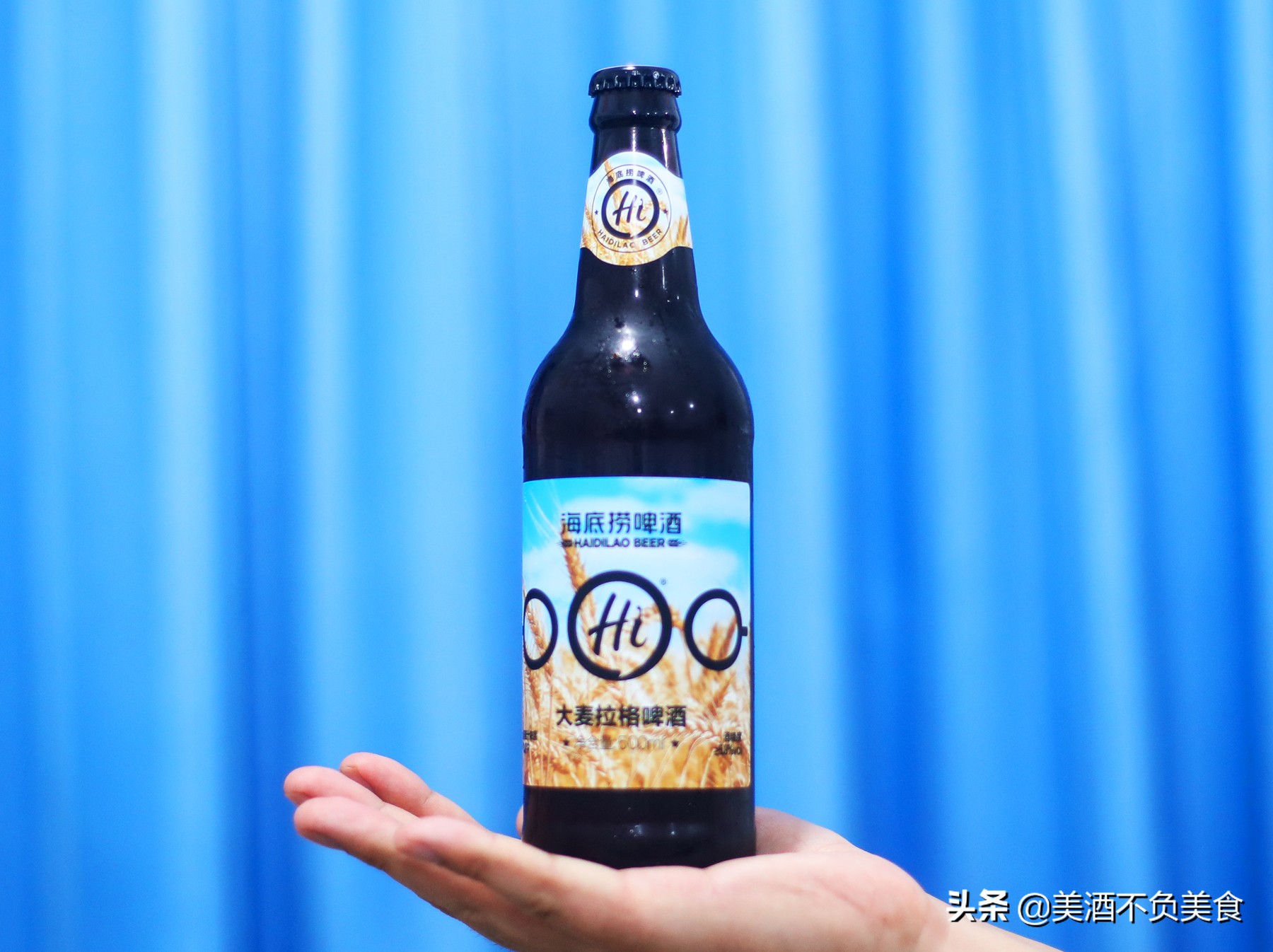 拉格啤酒和精酿啤酒哪种好喝,六只天鹅精酿拉格啤酒