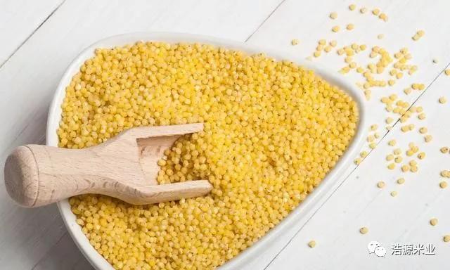 蒸小米要泡多久时间,小米和肉怎么蒸