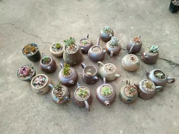 变废为宝可乐花盆手工制作幼儿园,变废为宝的创意花盆自己手工制作