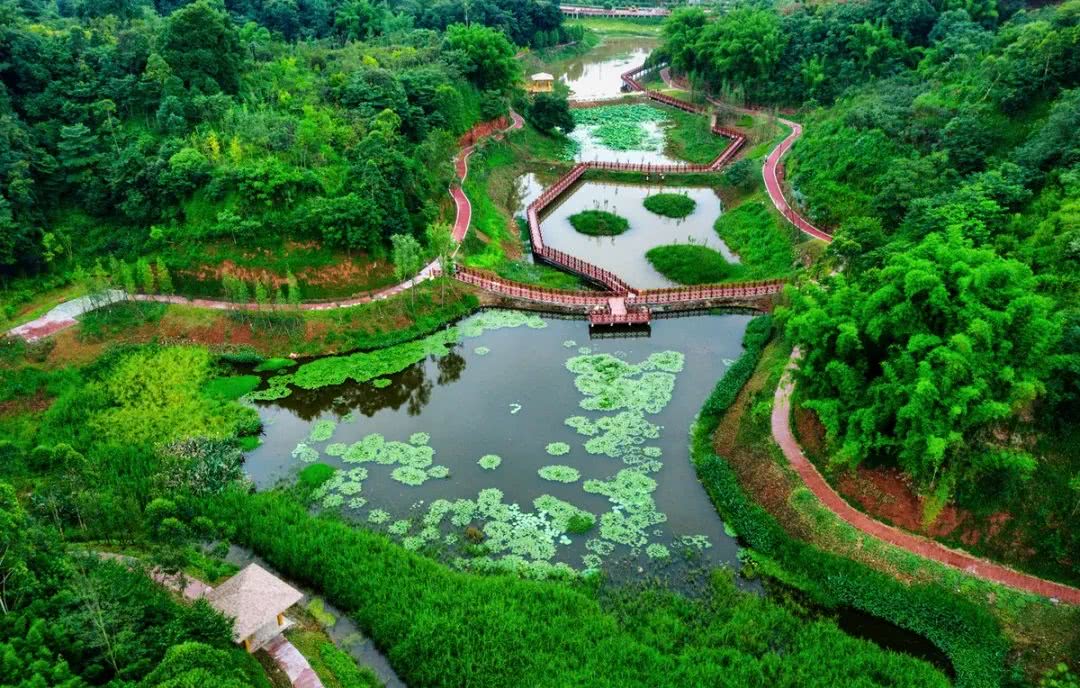 四川成都最适合养老的地方,四川成都养老
