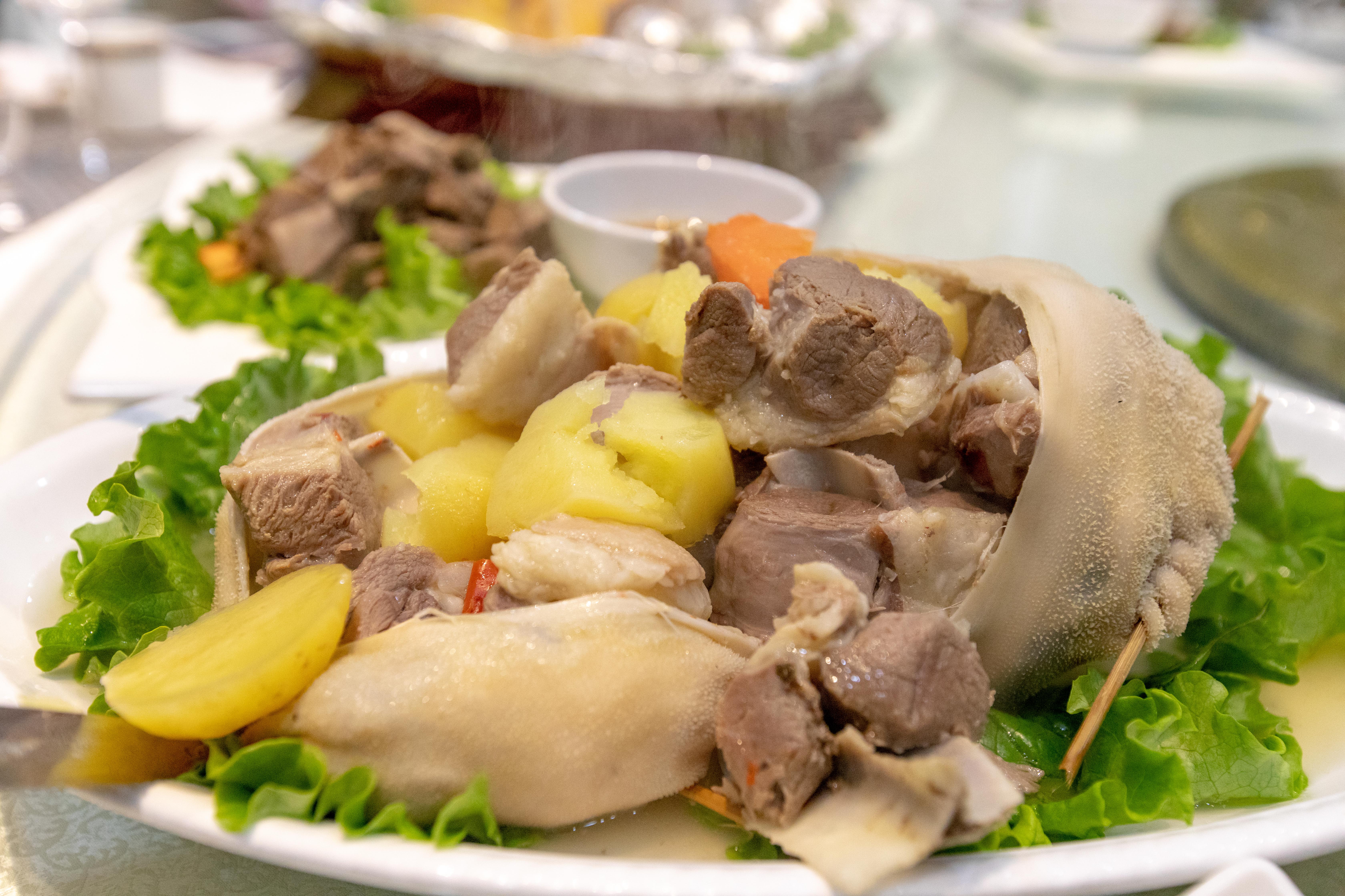 巴音温都尔冬季冰雪游玩,杜尔伯特蒙古草原风情