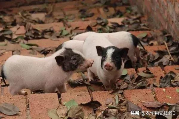 副业做房地产有什么前景,干了三年房地产转行干啥好