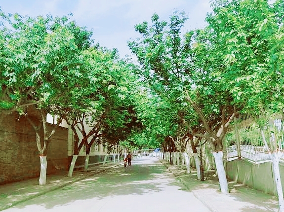 咸阳梦圆高中校园,咸阳秦都区梦圆高中