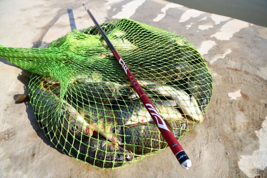 红狼怒戟,红狼怒戟参数