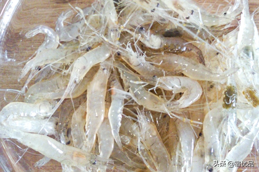 苏州西山旅游攻略一日游,苏州东山西山旅游攻略一日游