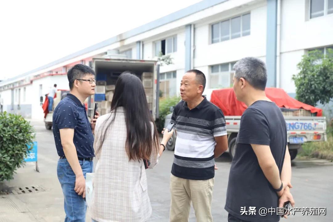 从0到1.5亿营收,小龙虾尾、调味虾迅速蹿红,使得这家小龙虾加工出口企业转内销后,不用再看国外脸色