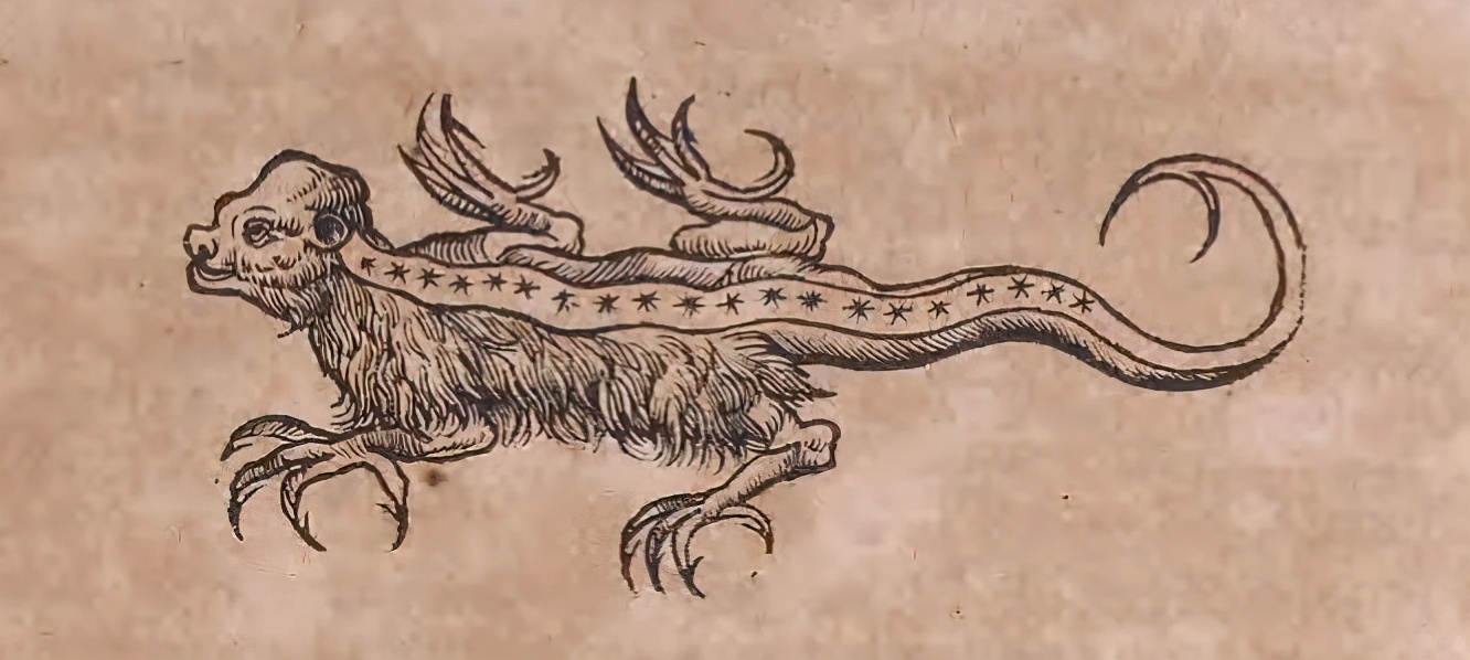 宁波海关查获火蝾螈,火蝾螈被海关查怎么判刑