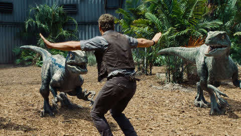 迅猛龙和伶盗龙是不是同一种恐龙,伶盗龙和迅猛龙的区别