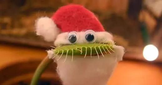 植物也会思考吗,植物也有自己的意识吗