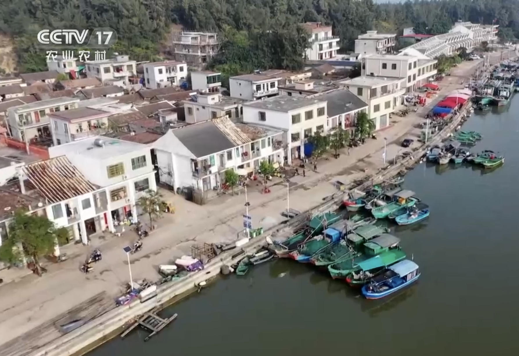 高中毕业的海南小伙,放弃60万年薪,回乡卖鱼干,年赚500万