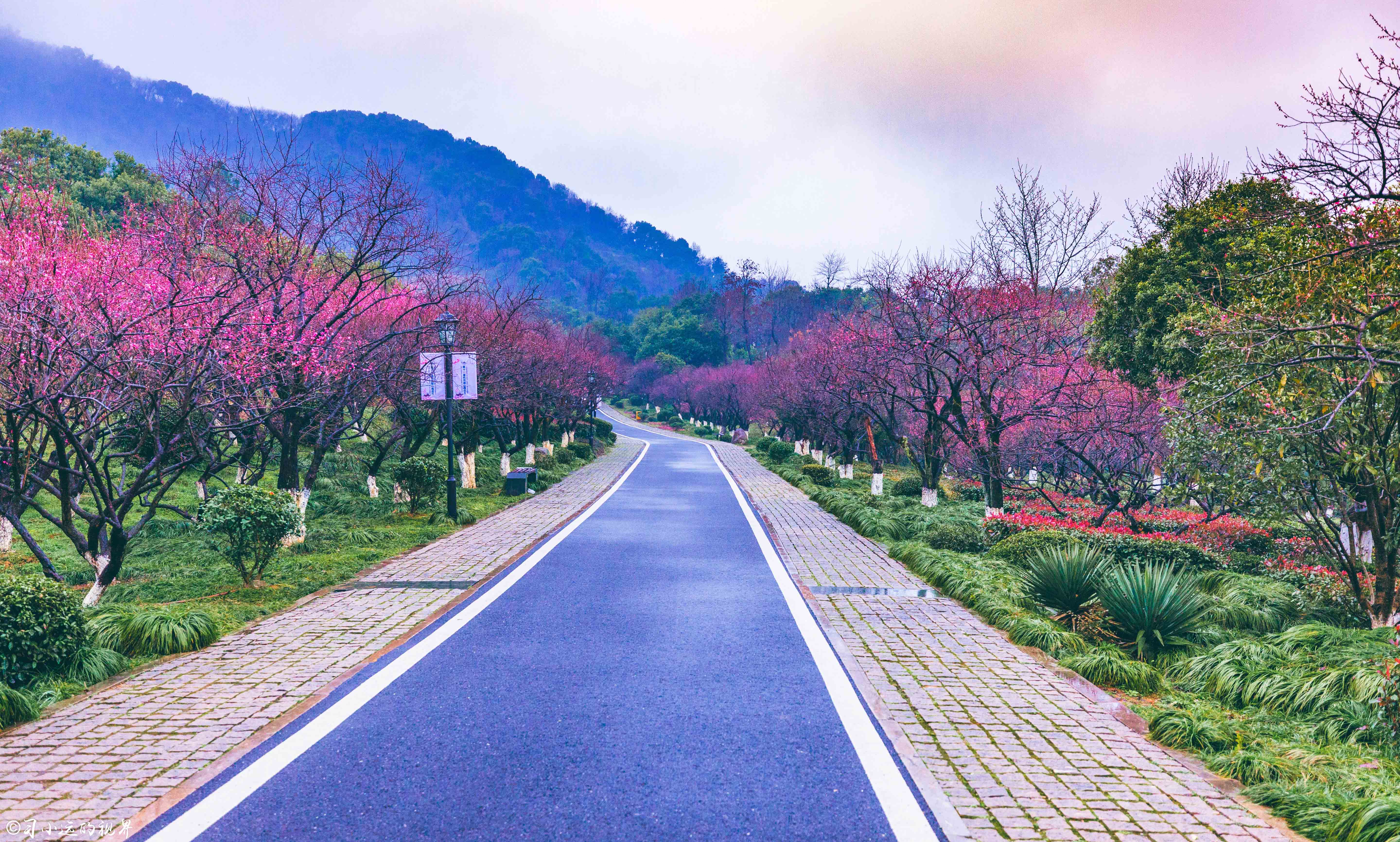 这个藏于梅花深处的幽静山庄，让你抛却繁杂，静享浮光