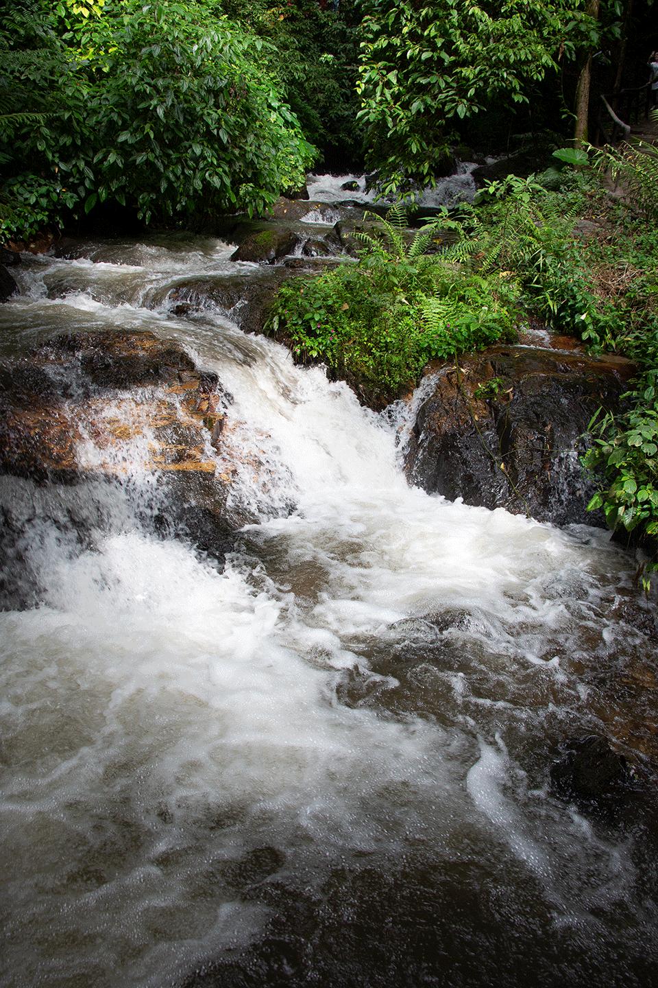 溪水潺潺心旷神怡,美景溪水潺潺