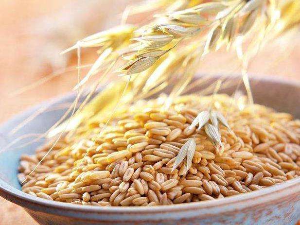 减肥吃什么米当主食,减肥主食食谱一览表