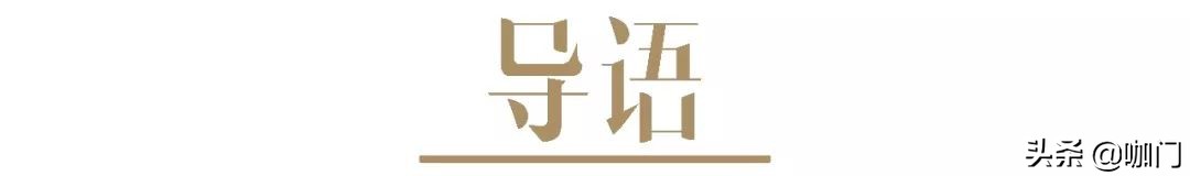 被周杰伦带火的麥吉奶茶,究竟什么来路?我和创始人聊了聊