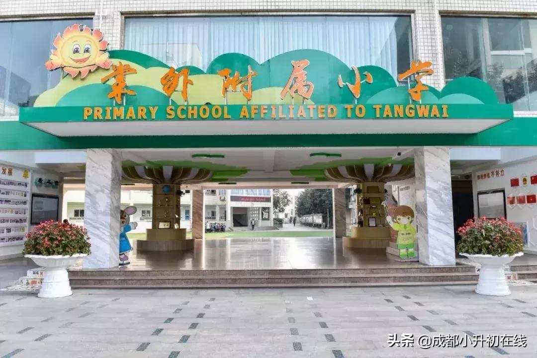 成都天府新区私立小学校一览表,2022成都私立小学招生数量