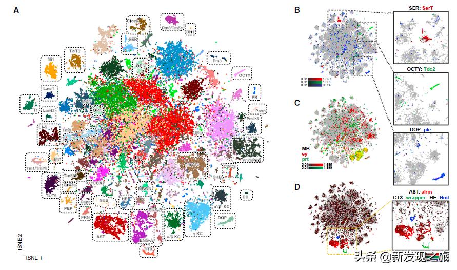 世上真的有长生不老液吗,世上真有长生不老术吗