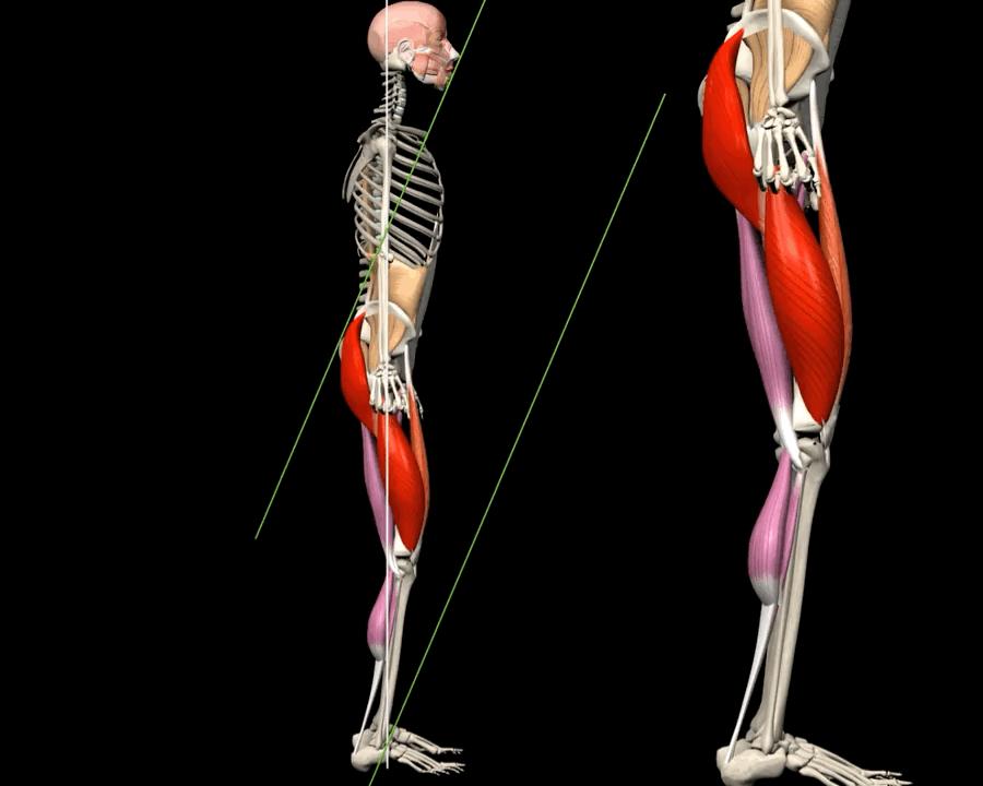 老年人蹲马步的正确方法,老年人膝盖疼蹲不下去怎么锻炼