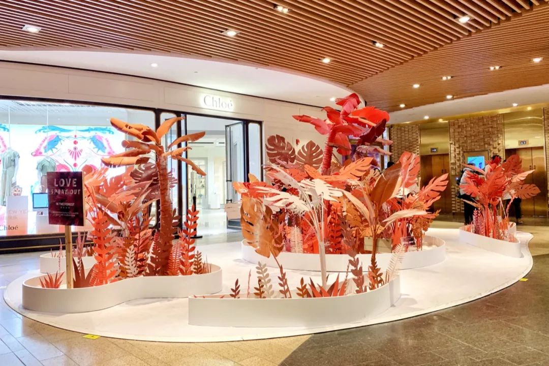 扫街日记01完整版,1月旅行日志