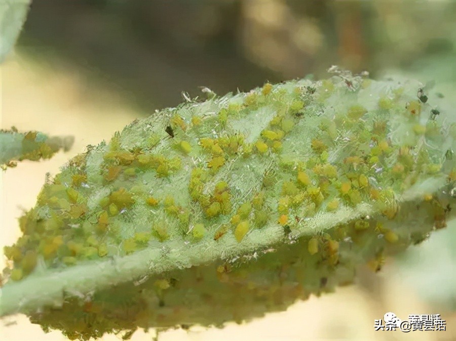 宋代的科举制度,宋代对科举制度有哪些新发展